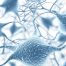 Ein Bild verknüpfter Neuronen